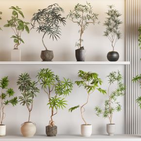 现代侘寂风绿植盆栽组合